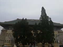 -武汉大学-樱园