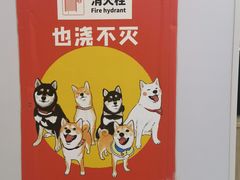 -柴犬小屋·柴餐厅·狗咖食堂(金鼎广场店)