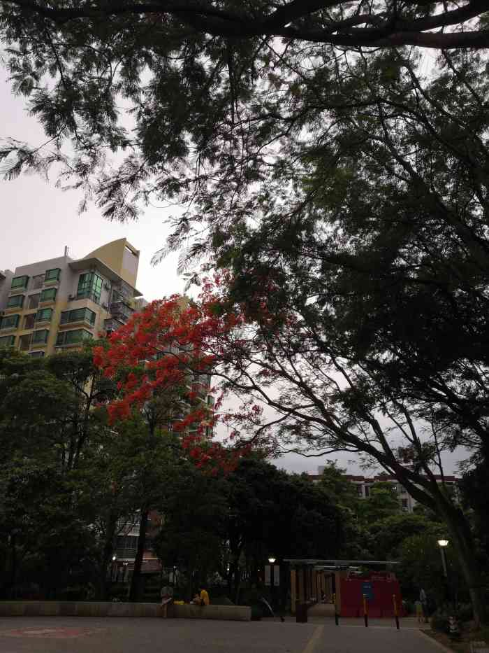 上梅林文体公园-"刚好到附近办事,然后中午在附近吃完饭找个.