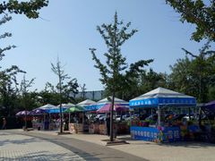 -日照灯塔风景区