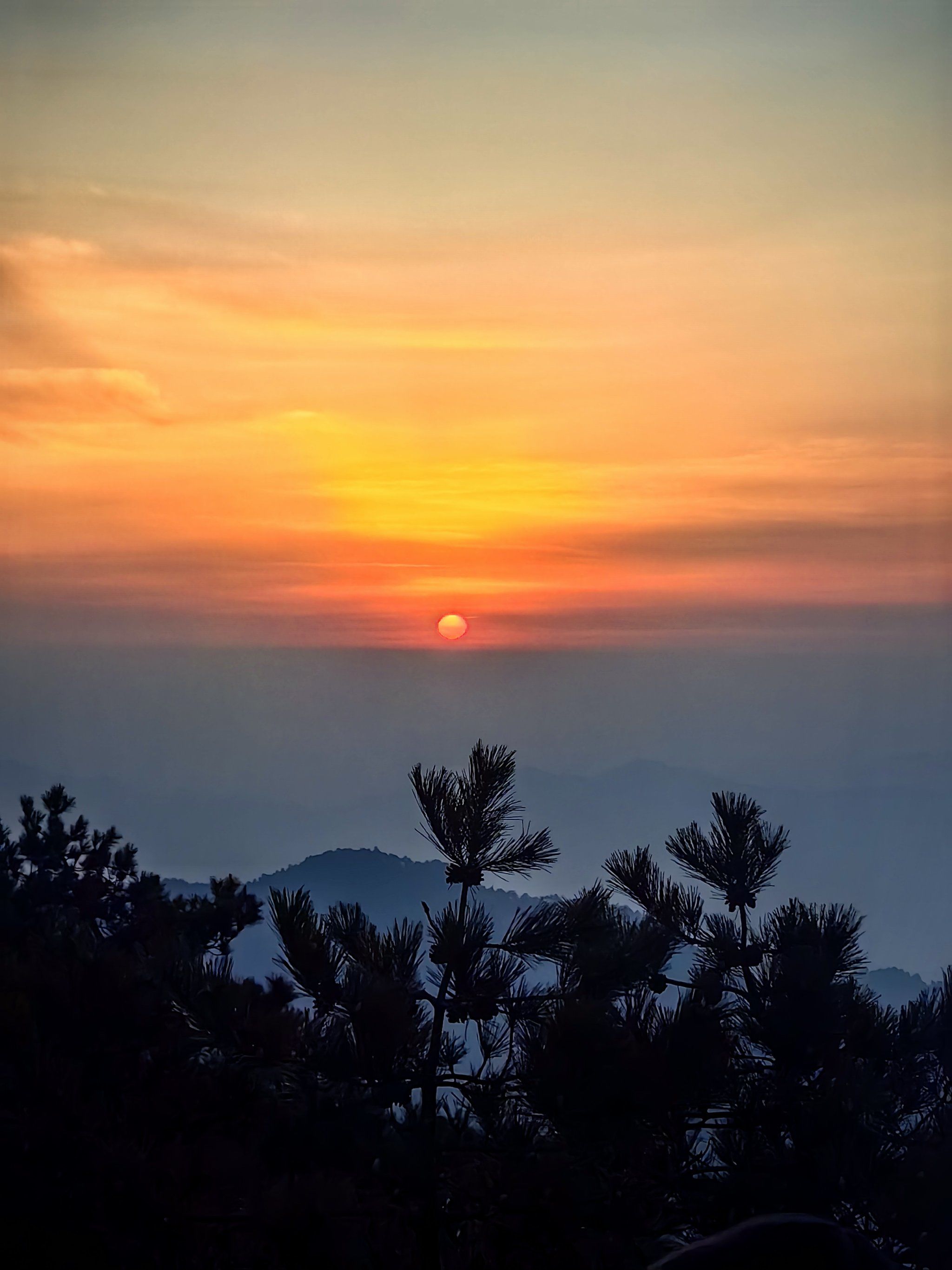 穿着皮衣差点冻僵在山顶
【🌅日出情况判断】
当天晚上可以看下