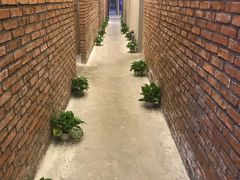 -漫咖啡(中纺国际店)