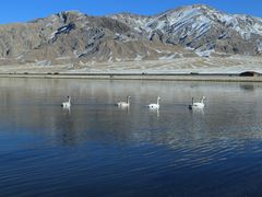 -艾力烤肉店(和平南路店)