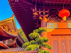 -深圳仙湖植物园