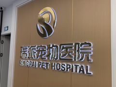 -瑞派康怡24h宠物医院·犬猫医疗中心·微创绝育(瑞景分院)