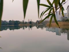 -洋湖国家湿地公园