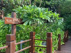 -海南棋子湾开元度假村·祺咖啡自助餐厅