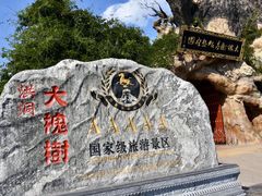 -大槐树寻根祭祖园