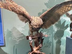 -陕西自然博物馆