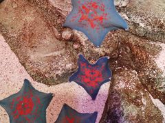 -沈阳海洋探索中心