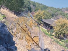 -灵岩山风景区