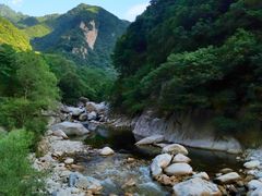 -秦岭风景区