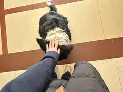 -哈尔滨北方国际青年旅舍(中央大街店)