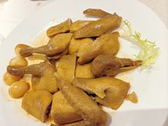 -大鸽饭(岗顶店)