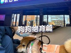 -联合动物医院(光谷诊疗中心)