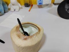 -志龙皇冠吃货椰子铺