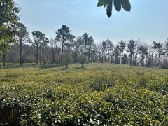 -虞山风景区