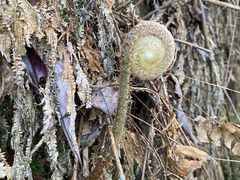 -赤水丹霞旅游区·大瀑布