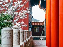 -皇罗禅寺