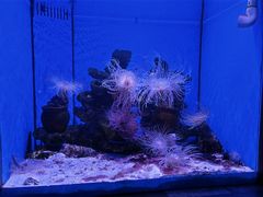 -多彩贵州城极地海洋世界