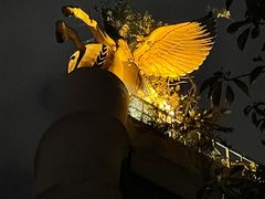 -西郊5号·Maggie 5