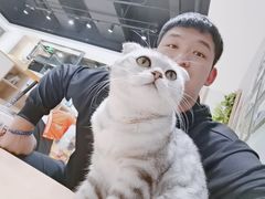 -藏猫猫咖啡主题馆(中央大道店)