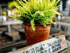 -清水湖度假村(罗浮山美食地标店)