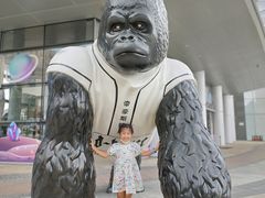 -京樽回転寿司(奥林匹克店)
