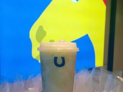 -春丽小马(济南恒隆广场店)