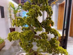 -梁溪河畔·吉府花园(南长街南下塘店)