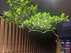 -碧涛阁水世界酒店·洗浴·自助(万家丽路店)