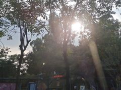 -清湖文化公园