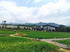 -禾悦庄餐厅