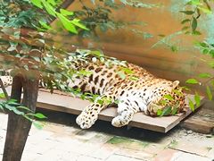 -青藏高原野生动物园