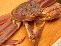 -鳥喜Toriki怀石烧鸟料理