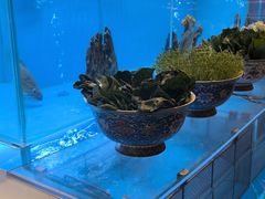 -怡咖啡·自助餐·西安香格里拉