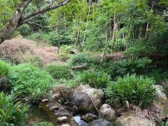 -雁南飞茶田景区