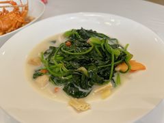 -樱苑(四川北路店)