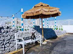 -Blue Concept Cafe&Farm·關於藍