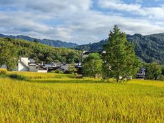 -塔川景区