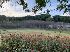 -苏州上方山国家森林公园