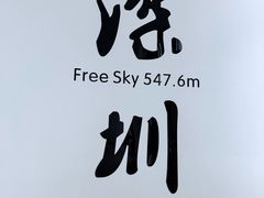 -平安金融中心云际观光层