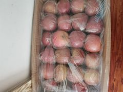 -东方鼎信农副产品交易中心