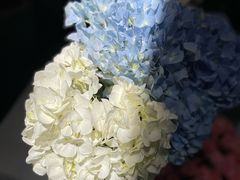 -循礼门鲜花花市(武汉循礼门店)