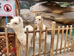 -杭州开元森泊度假乐园