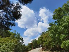 -北京西山国家森林公园