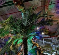 -恐龙探索乐园(磁器口店)