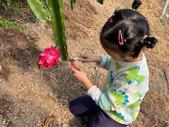 -海堤葡萄园中小学生研学基地