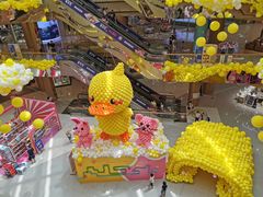 -大卡司DAKASI(番禺奥园店)