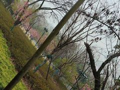 -龟山风景区-龟山电视塔